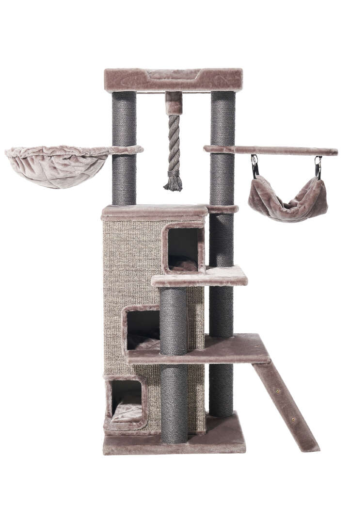 Nobby Kratzbaum Raya